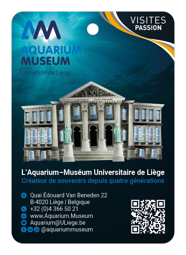 Aquarium Museum