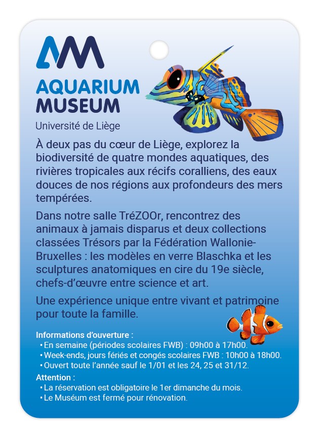 Aquarium Museum