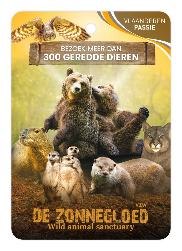 De zonnegloed