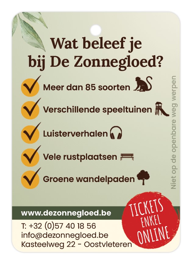 De zonnegloed