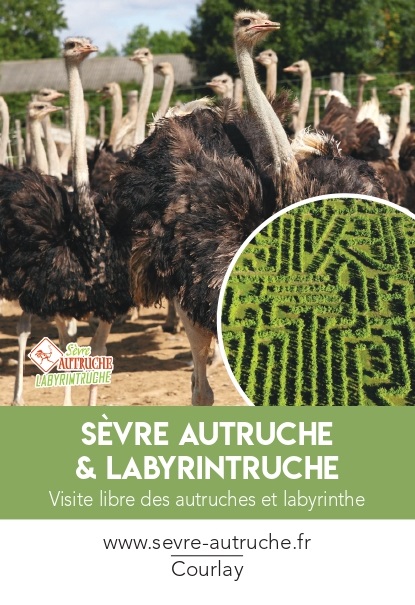 Sèvre Autruche & Labyrinthe