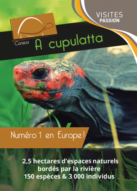 A CUPULATTA