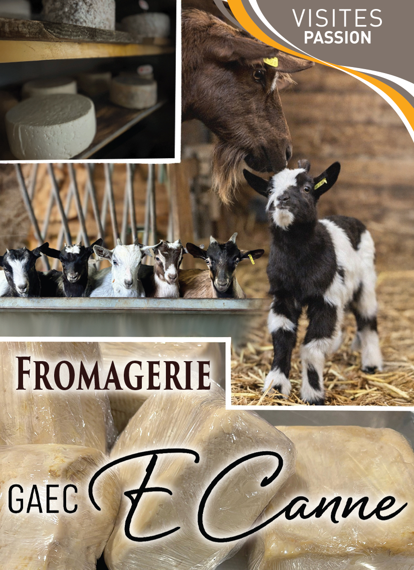 FROMAGERIE E CANNE