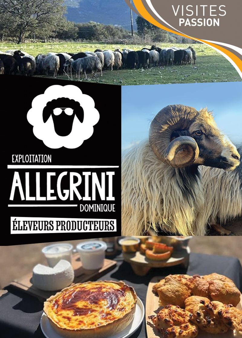 Exploitation Allegrini
