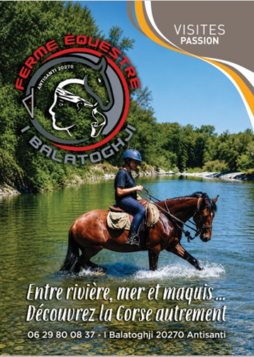 FERME EQUESTRE I BALATOGHJI