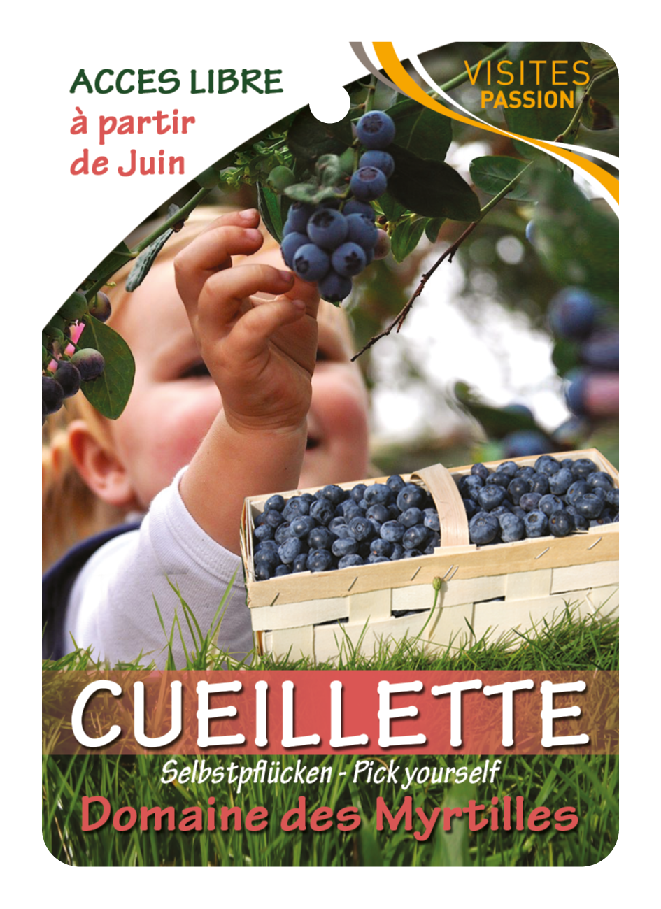 Domaine des myrtilles