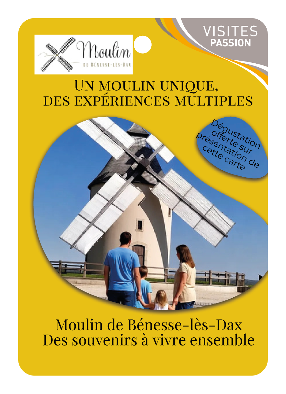 Le moulin de Benesse Les Dax