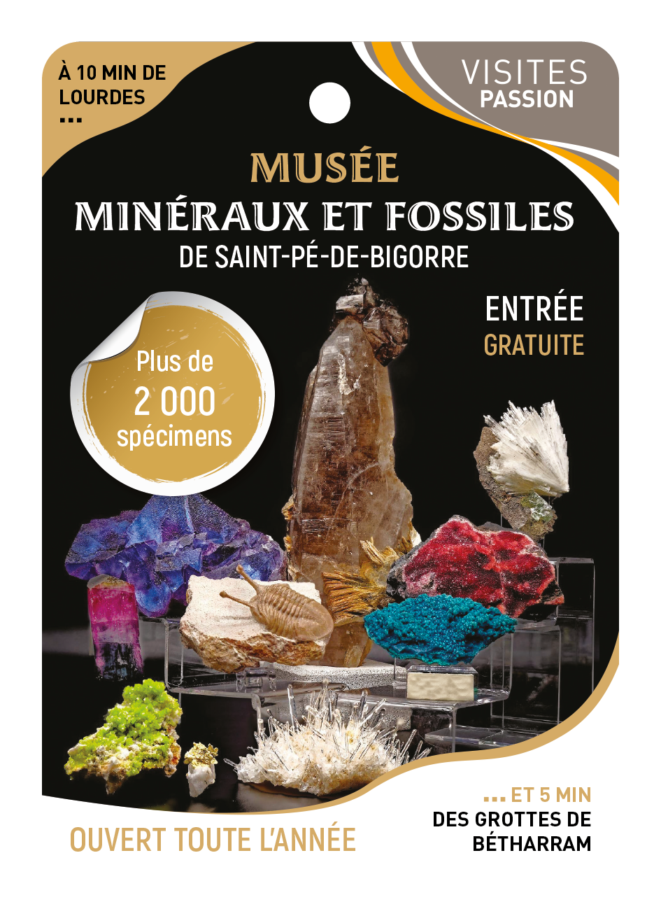 Musée minéraux et fossiles