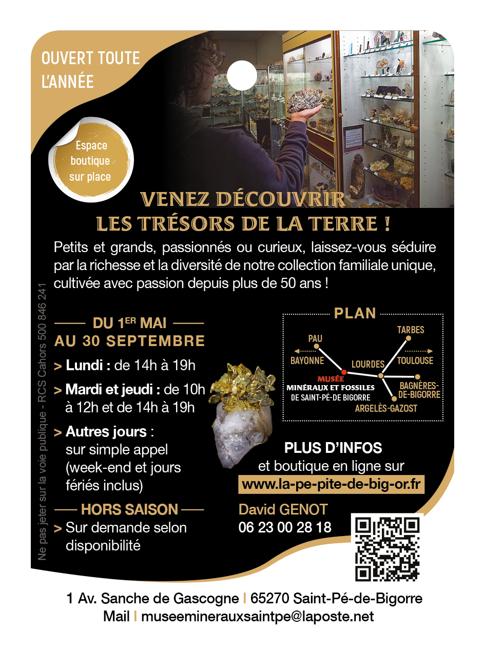Musée minéraux et fossiles