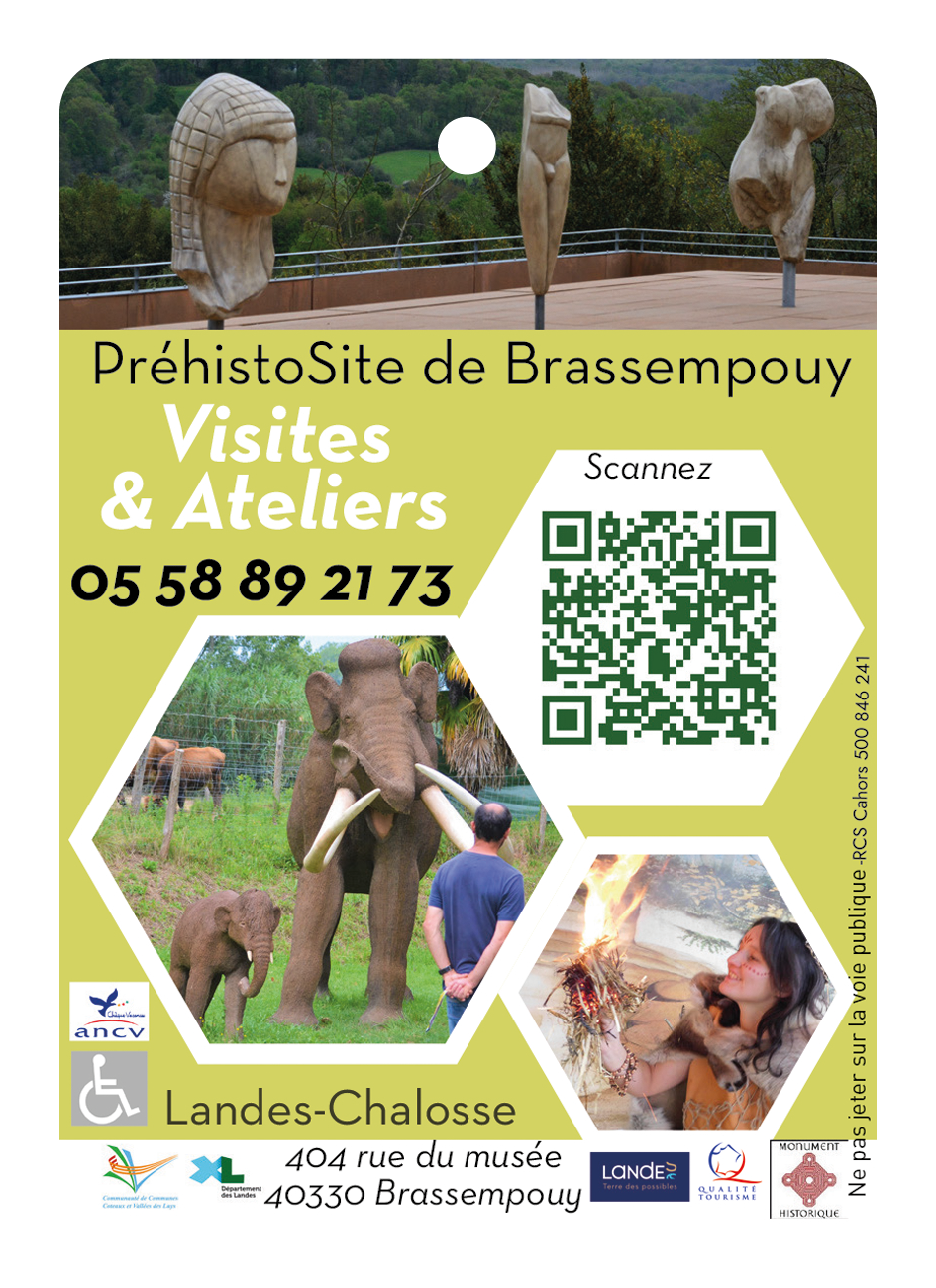PréhistoSite de Brassempouy