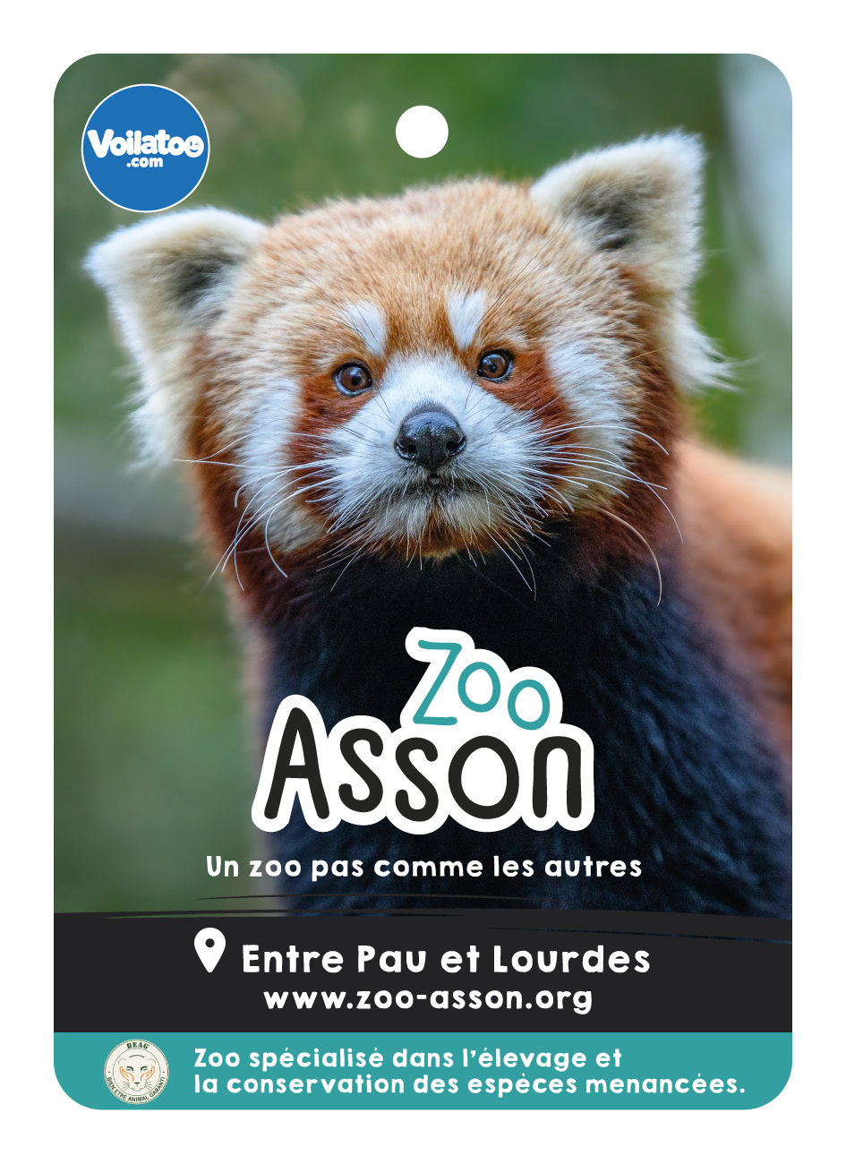 Zoo d'Asson