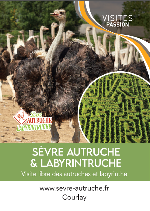 Sèvre Autruche et Labyrintruche à Courlay