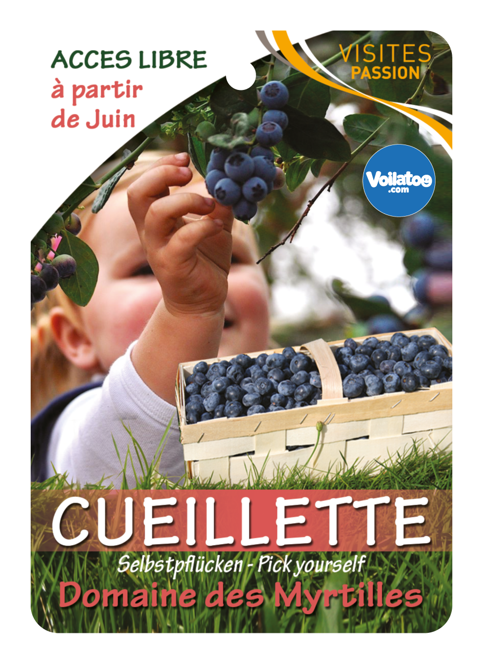 Domaine des myrtilles