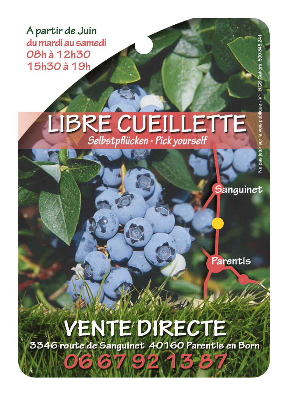 Domaine des myrtilles