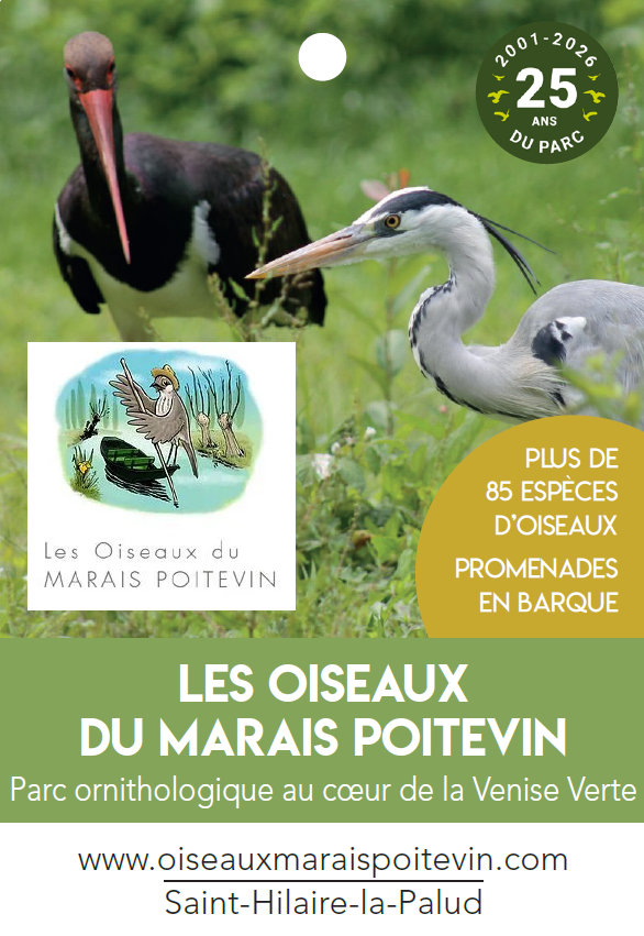 Les Oiseaux du Marais Poitevin à Saint Hilaire la Palud