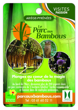 LE PARC AUX BAMBOUS, plongez au coeur der la magie des bambous !